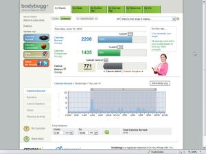 Bodybugg Stats for 6/16/10